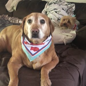 Meet your Posher, Giulia